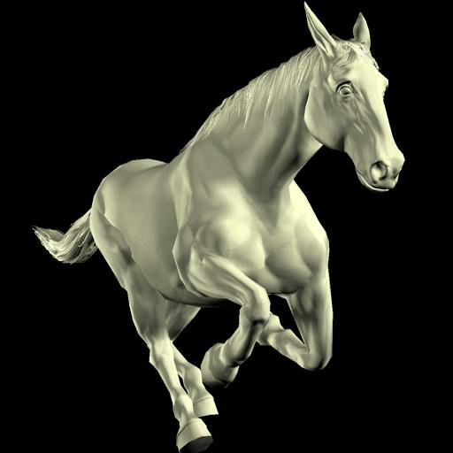 Horse Mannequin
