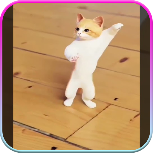 جوجو جوجو: الحلوة