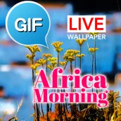 Afrikaans Good Morning Gifs