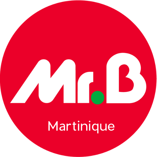 MrBricolage