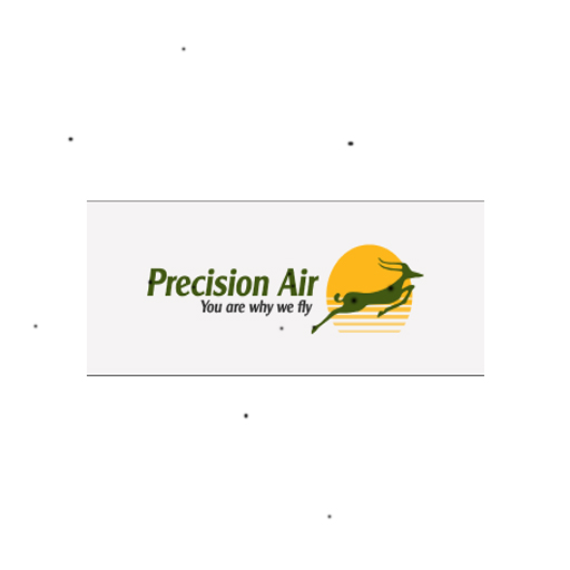 Precision  Air - Flight Ticket