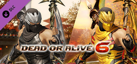 DOA6 Morphing Ninja Costume - Hayabusa