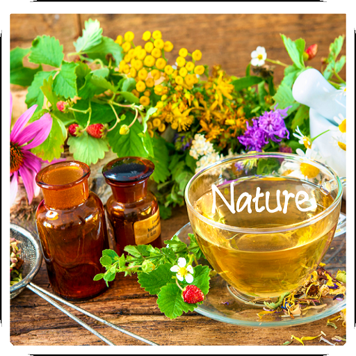 Therapeutic remedies homeopath