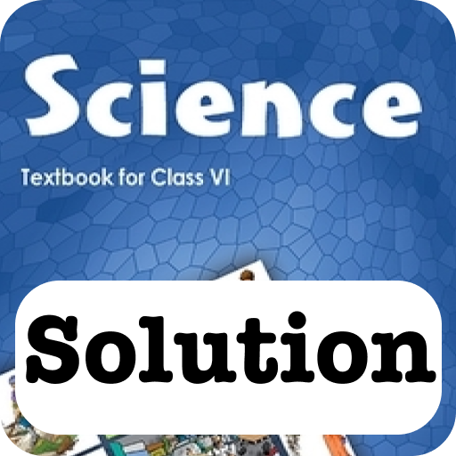 Class 6 NCERT Science Solution
