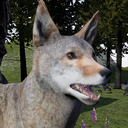 Virtual Pet The Coyote