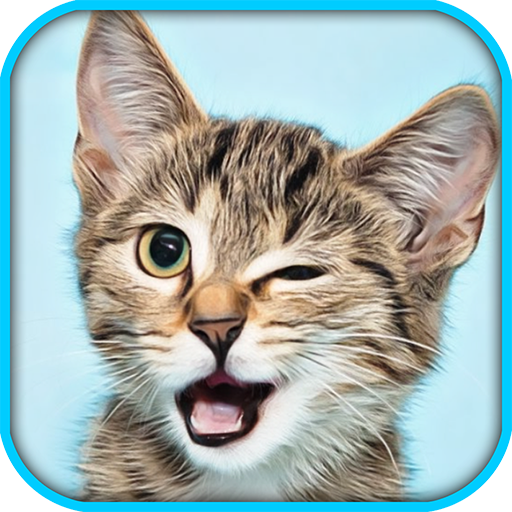 Cat Pet Simulator Online Sim