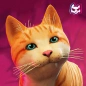 Stray Kitty Game Simulator Cat