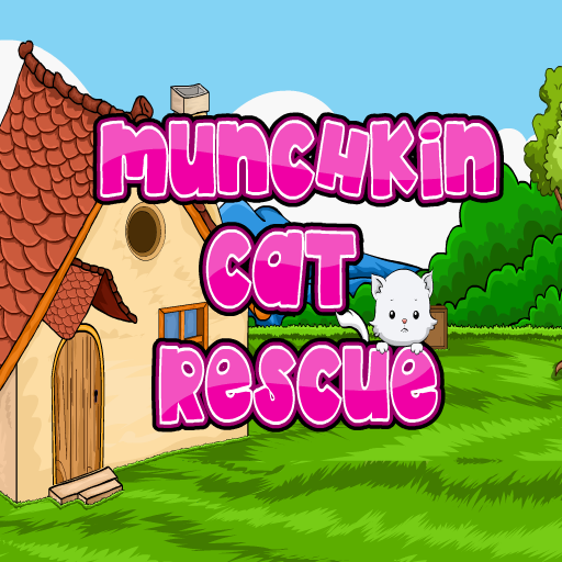 Munchkin Cat Rescue