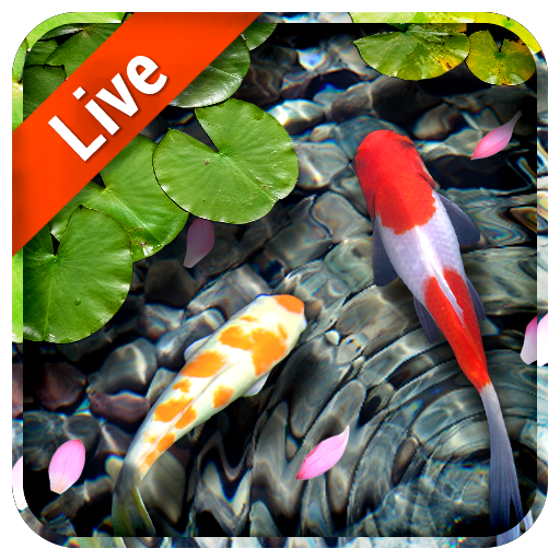 Koi Fish Live Wallpaper