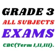 Grade 3 Exams: Term I, II, III