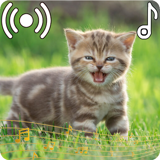 Cat Sounds Ringtone