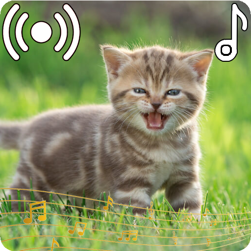 Cat Sounds Ringtone