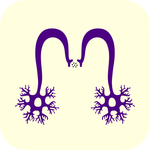 MEDIKQUIZ -ENAM RESIDENCIA MIR