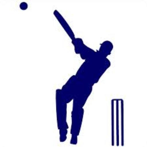 International Cricket