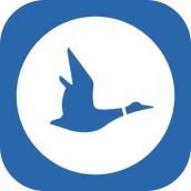 Blue Duck