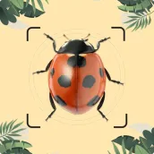 Insect ID: Bug identifier
