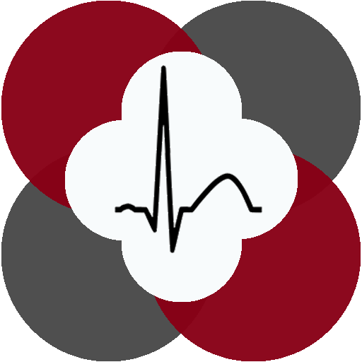 Polar H10 ECG Analysis