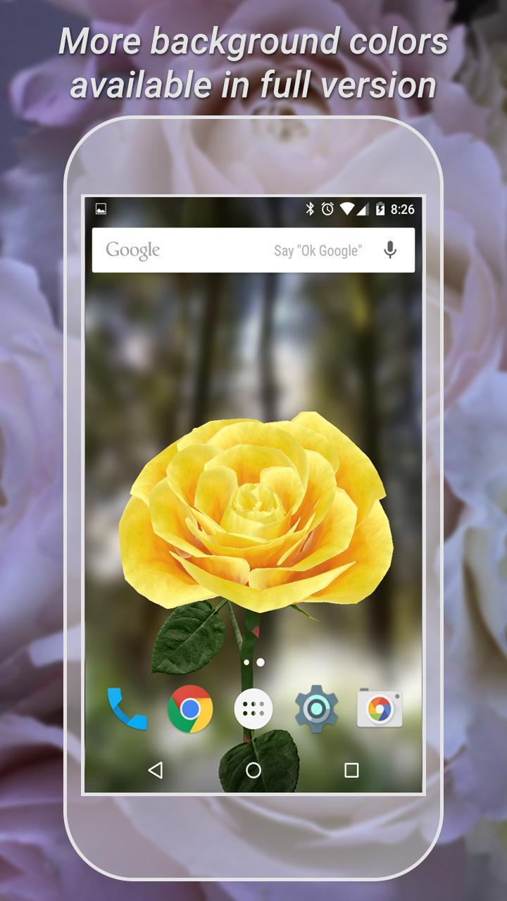3d Rose Live Wallpaper Download 3D Red Rose Live Wallpaper Spring