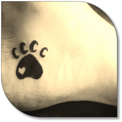 Small Tattoo Ideas