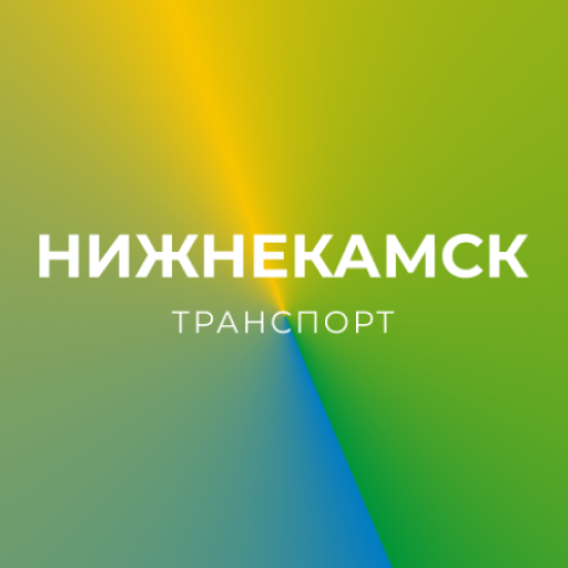 Нижнекамск транспорт