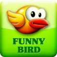 Funny Bird