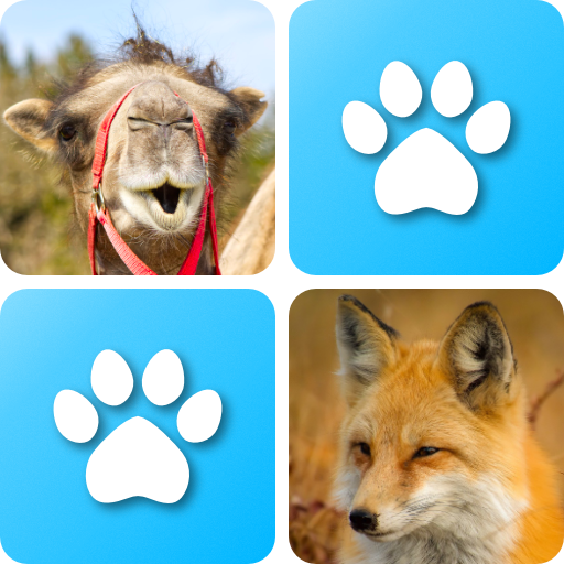 Pairs: Animals