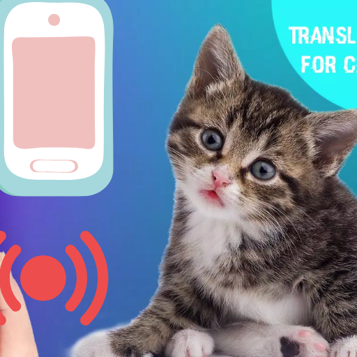 Kedi Tercüman - Kedi Sesleri