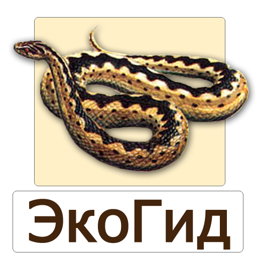 ЭкоГид: Рептилии