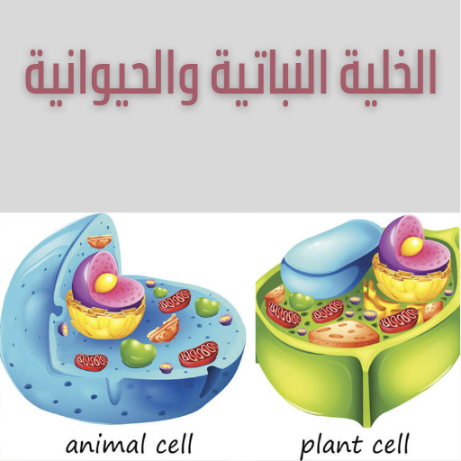 الخلية النباتية والحيوانية