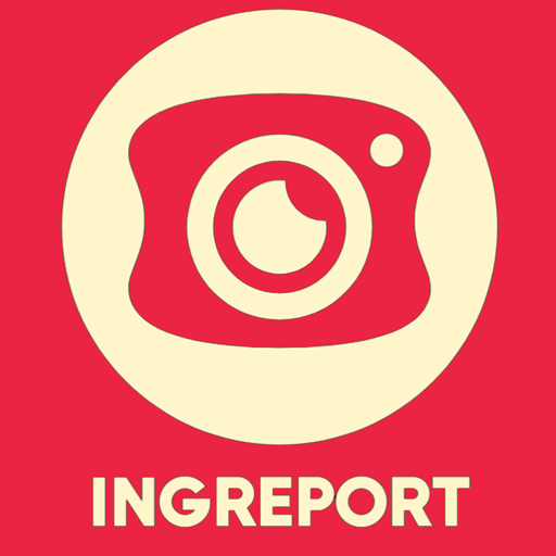 IngReport - Takipçi Analizi