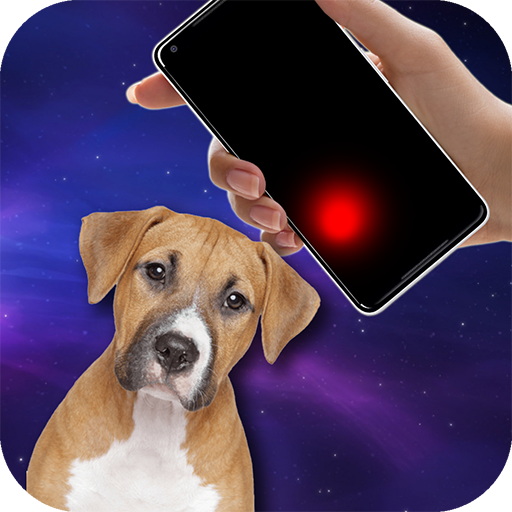 Laser pointer for dogs (PRANK)