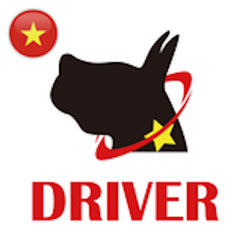 Edriver VN