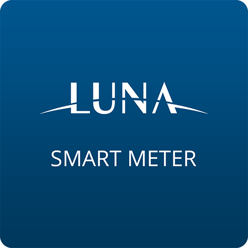 Smart Meter