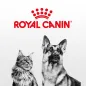 Royal Canin Club (TH)