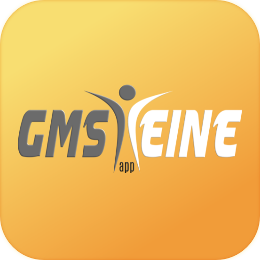 GMSHEINEapp