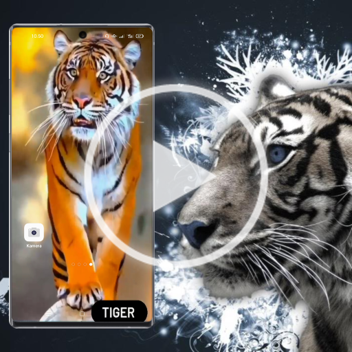 Tiger Video Live Wallpaper HD