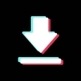 TikTok Video Downloader