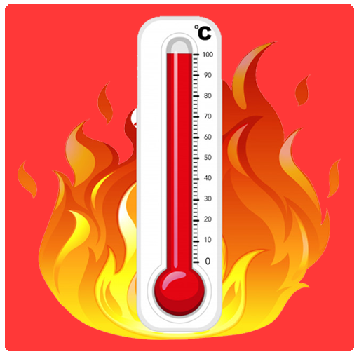 Thermometer plus pro