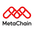 Meta-Chain Network