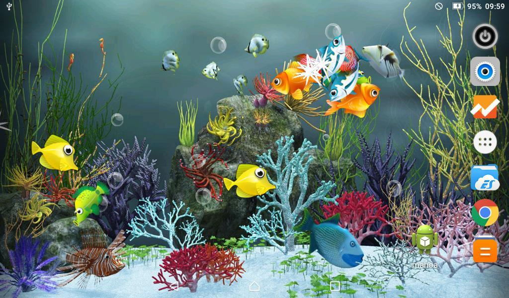 Download Koi Fish Live Wallpaper android on PC