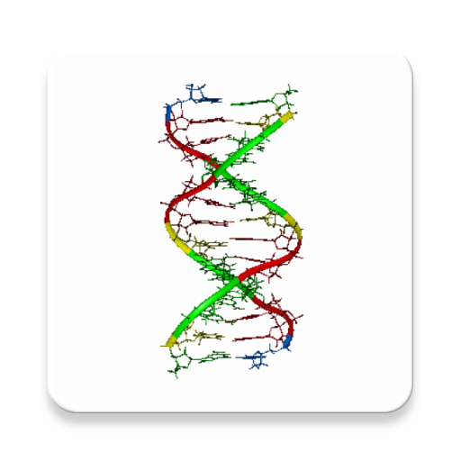 DNA and RNA Codon Converter