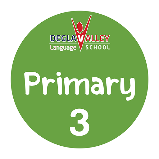 English Primary 3 Term 1