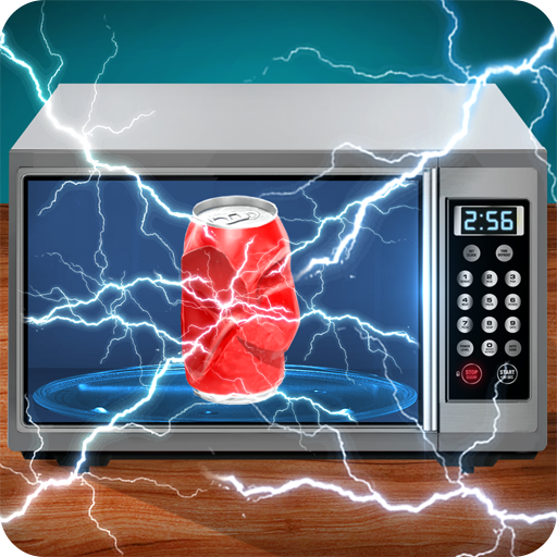 Microwave Experiment Simulator