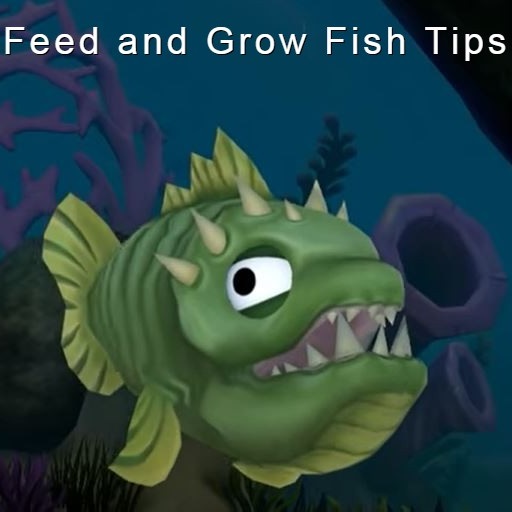 Download and play Fish Feed & Grow Fish Tips on PC with MuMu Player