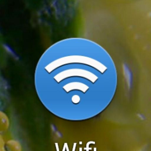 simple wifi toggle.