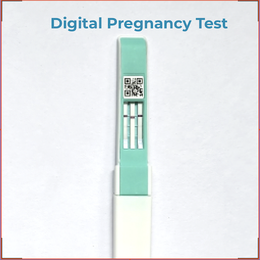 Early Pregnancy Test