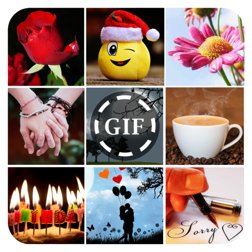 GIF Collection