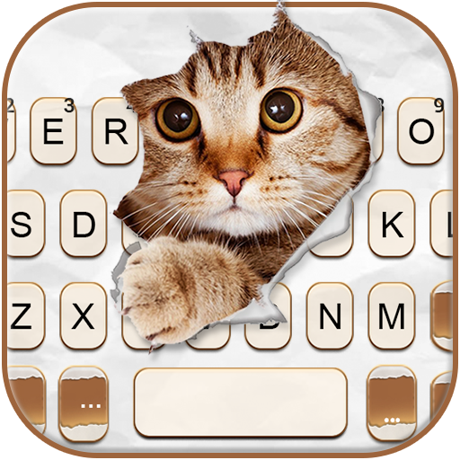 Curious Cat Keyboard Backgroun