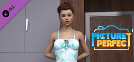 Picture Perfect - The Walkthrough