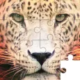 Jigsaw Puzzles: Haiwan
